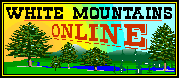 White Mountains Online